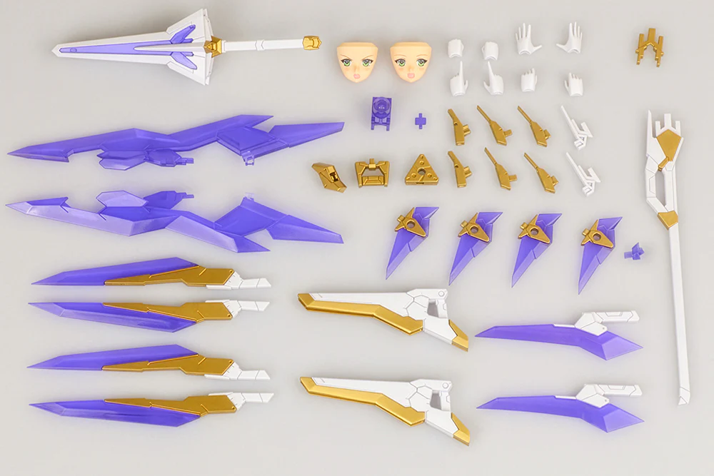 FRAME ARMS GIRL RAY FALX - Image 15