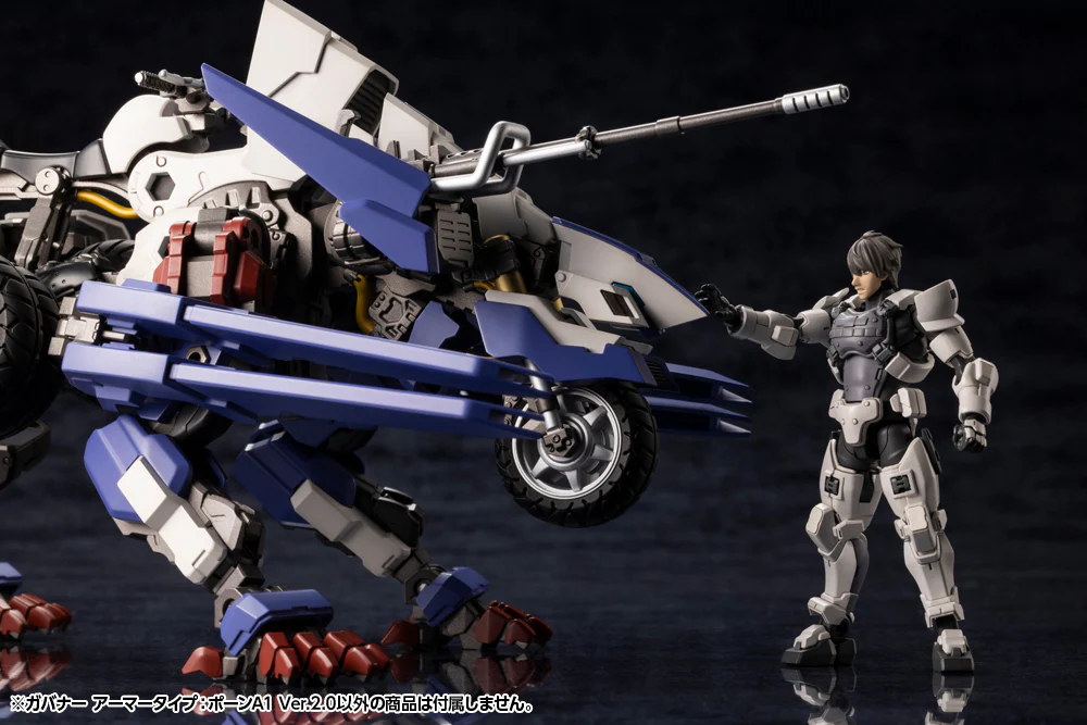 GOVERNOR ARMOR TYPE: PAWN A1 Ver.2.0 - Image 8