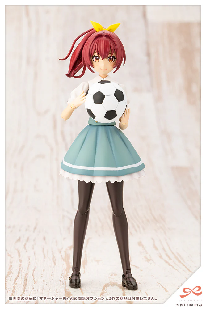 Club Manager & Sporting Goods - Image 23
