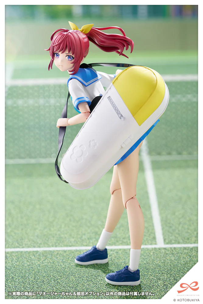 Club Manager & Sporting Goods - Image 3