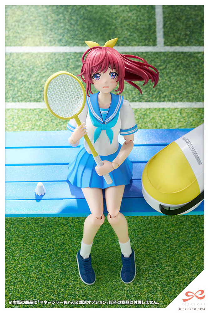 Club Manager & Sporting Goods - Image 4