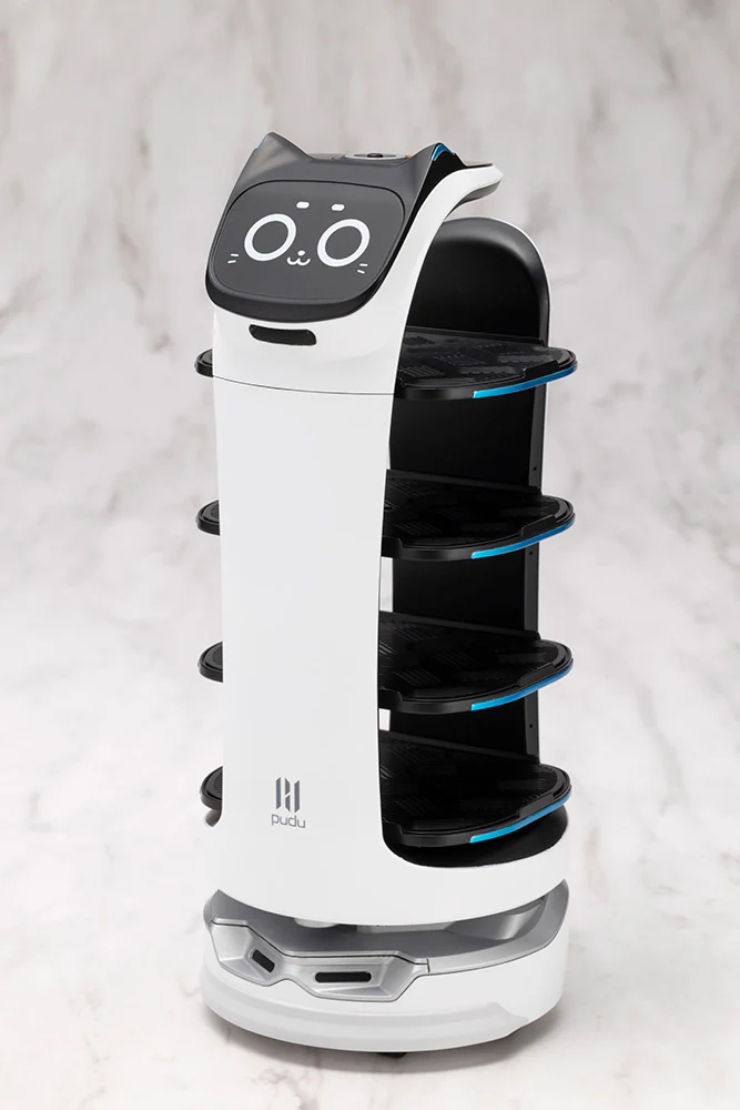 GRANDE SCALE BellaBot - Image 3