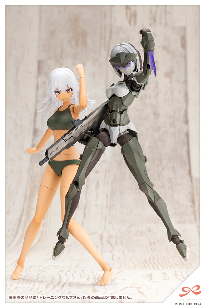 Training WOLF - Image 16